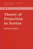 Theory of Projection in Syntax