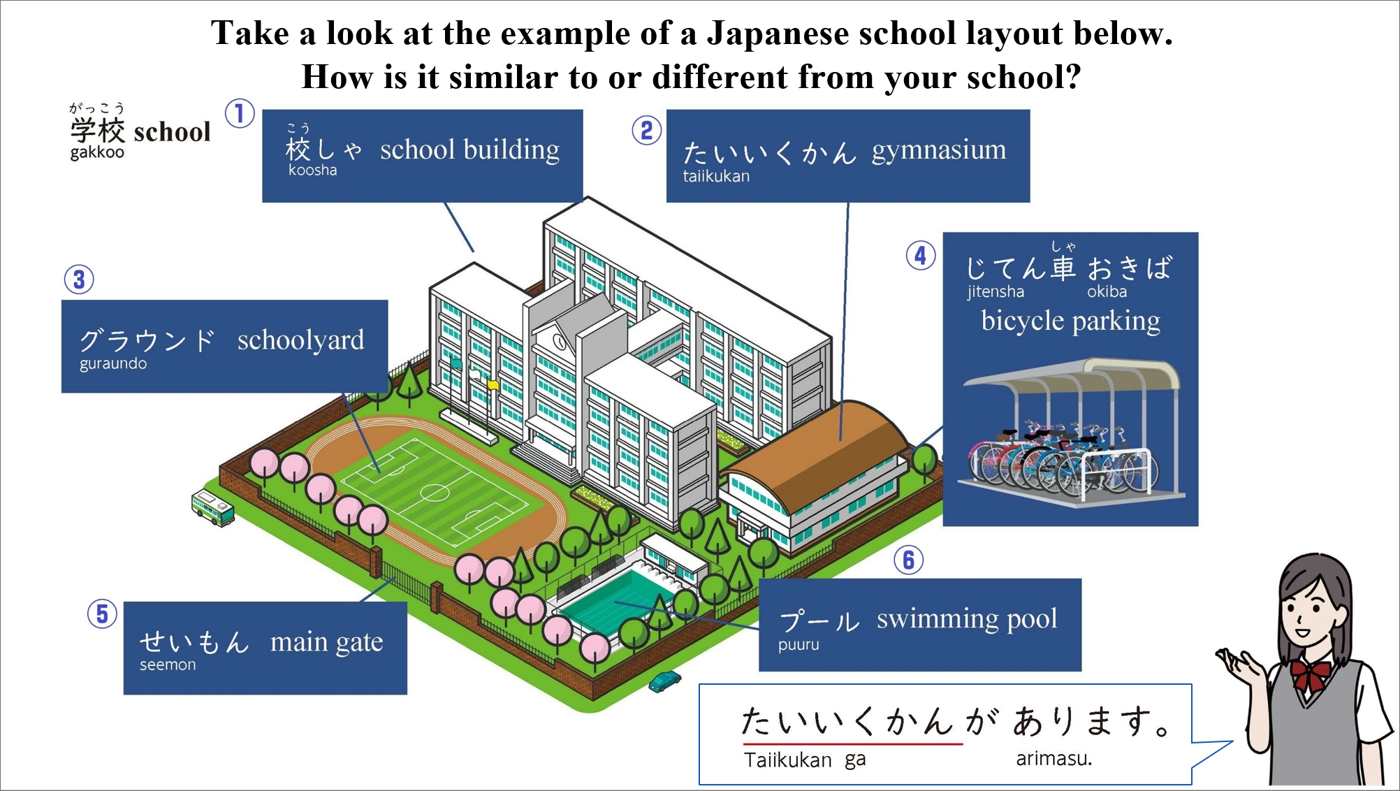 「Activity 1 [1] Sensei’s Presentation」 